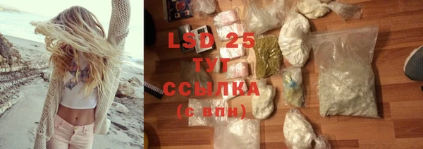 стаф Баксан