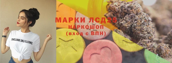 стаф Баксан