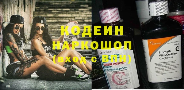 прущие грибы Балахна