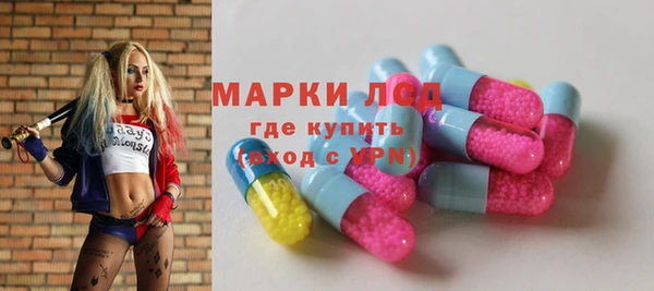 стаф Баксан