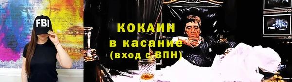 прущие грибы Балахна