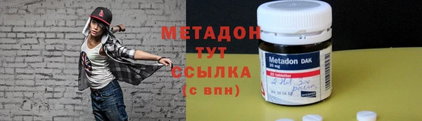 прущие грибы Балахна