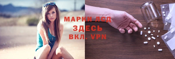 прущие грибы Балахна