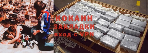 прущие грибы Балахна