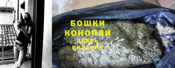 прущие грибы Балахна