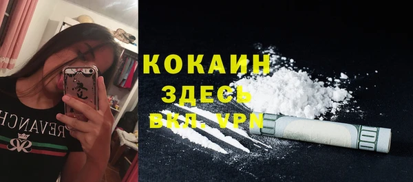 прущие грибы Балахна